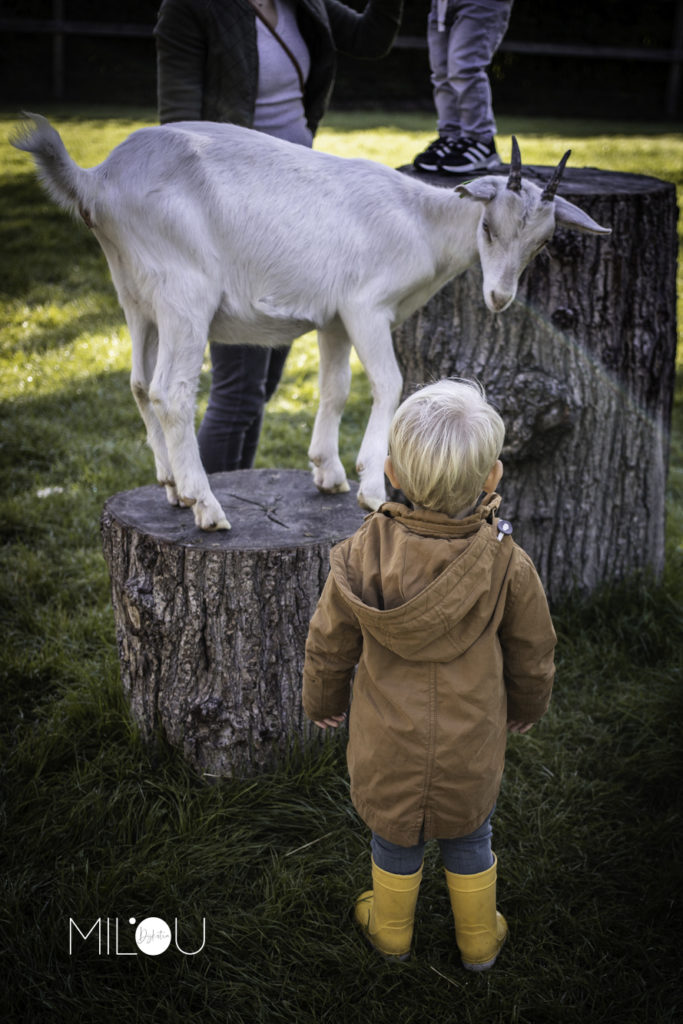 kinder-kroost-fotografie-documentair